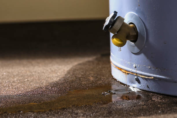 Best Water damage contractors near me  in USA